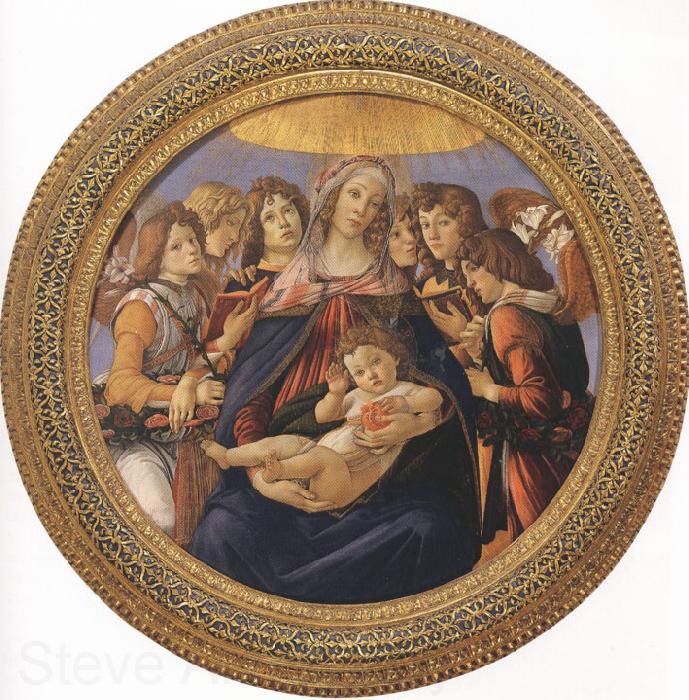 Sandro Botticelli Madonna and Child with six Angels or Madonna of the Pomegranate (mk36) Norge oil painting art